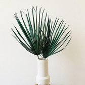 Droogbloemen - Palmblad Dark Green - 2 stuks - Gedroogde Bloemen Dry FLWRS®