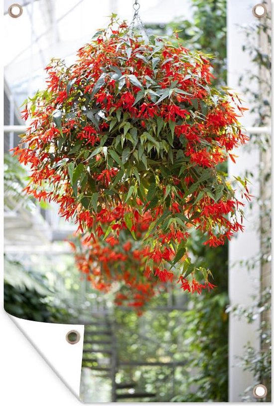 Tuinposters Hangplant met bloemen - 60x90 cm | bol.com