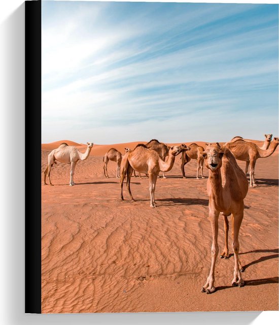 Canvas  - Woestijn vol met Kamelen - 30x40cm Foto op Canvas Schilderij (Wanddecoratie op Canvas)