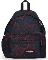Eastpak - Padded Zippl'r Flow Blushing