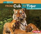 Start to Finish, Second Series - From Cub to Tiger