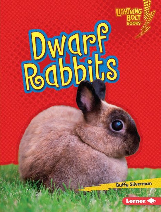 Lightning Bolt Books ® — Little Pets - Dwarf Rabbits - cover
