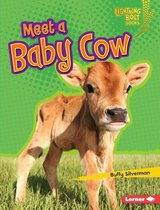 Lightning Bolt Books ® — Baby Farm Animals - Meet a Baby Cow