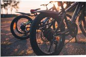 Dibond - Mountainbike Fietsen  - 90x60cm Foto op Aluminium (Met Ophangsysteem)