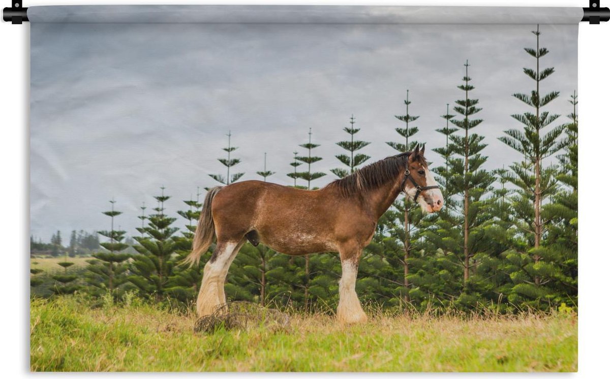 Wandkleed Clydesdale Paard - Clydesdale paard voor dennenbomen in het grasland Wandkleed katoen 120x80 cm - Wandtapijt met foto - 1001Tapestries