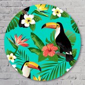 Muurcirkel ⌀ 80 cm - Colorful Tucans | Dieren - Kunststof Forex - Dieren - Rond Schilderij - Wandcirkel - Wanddecoratie