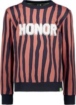 B-Nosy Jongens t-shirts & polos B-Nosy Boys sweater with zebra stripe Pale zebra 116