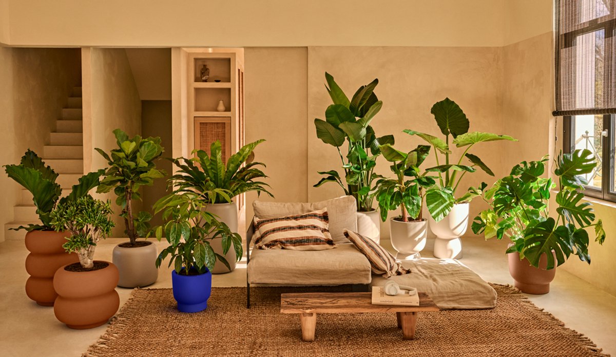 Elho Amber Grail 30 - Pot de fleurs intérieur et extérieur