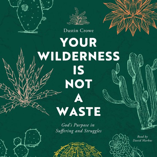 Your Wilderness Is Not a Waste - cover