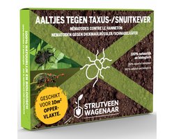 Aaltjes tegen Taxuskever en Snuitkever 10m² - Biologische bodeminsecten bestrijding - Taxuskever bestrijden - Afweermiddelen