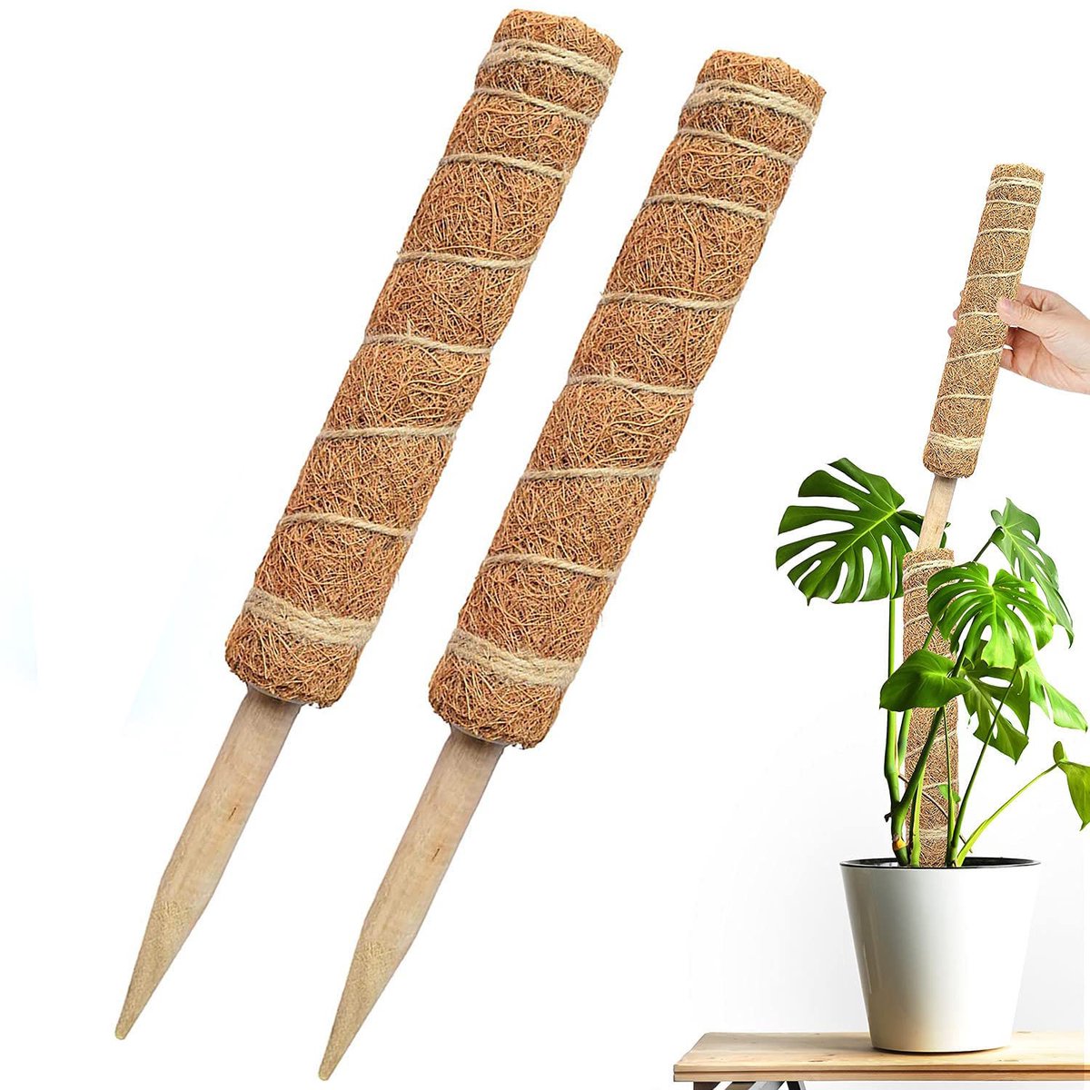 2x Buigbare Mosstokken 40 cm – Kokosvezel Plantensteun met Houten Pin voor Monstera, Pothos & Klimplanten
