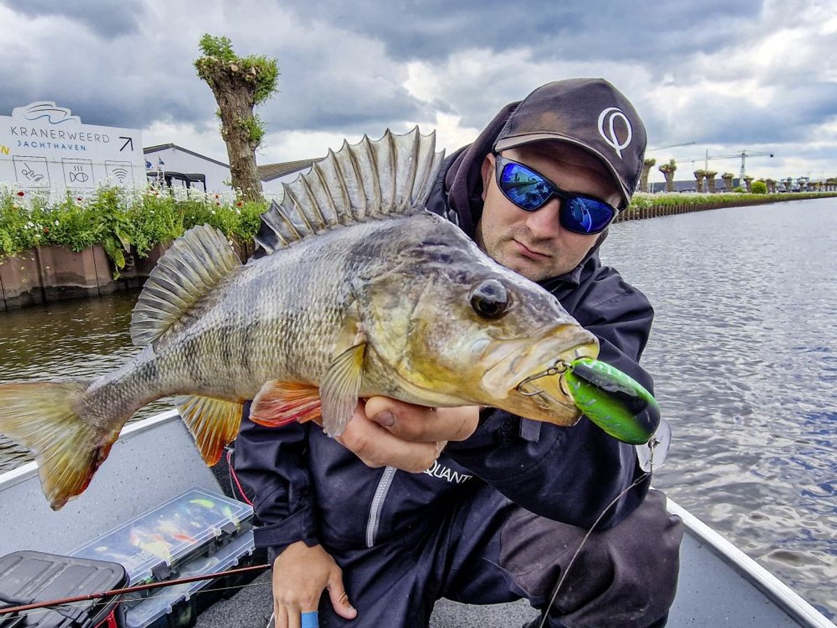 Quantum Q Crank Fat Minnow DR 4cm 6g (diepte 1-3m) - Kleur : Real Shiner