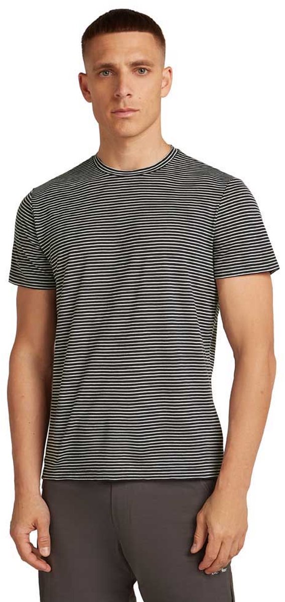 Icebreaker Merino 150 Tech Lite T-shirt Met Korte Mouwen Grijs S Man