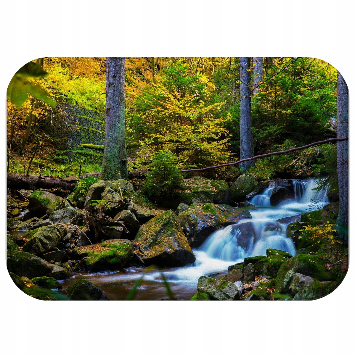 Antislip badkamermat 40x60cm - Zacht & Waterdicht - Sneldrogend