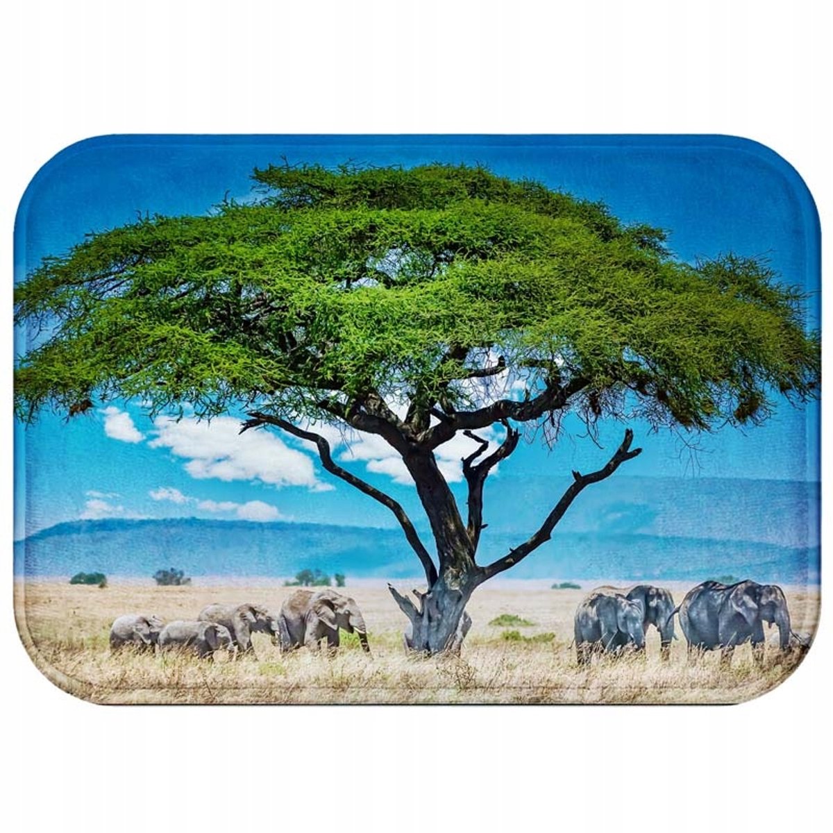 Zachte Antislip Badkamermat 60x40cm - Sneldrogend & Wasbaar