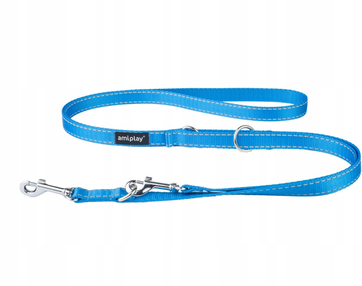 Amiplay 6-in-1 Reflective Hondenlijn L Blauw - Verstelbaar & Veilig