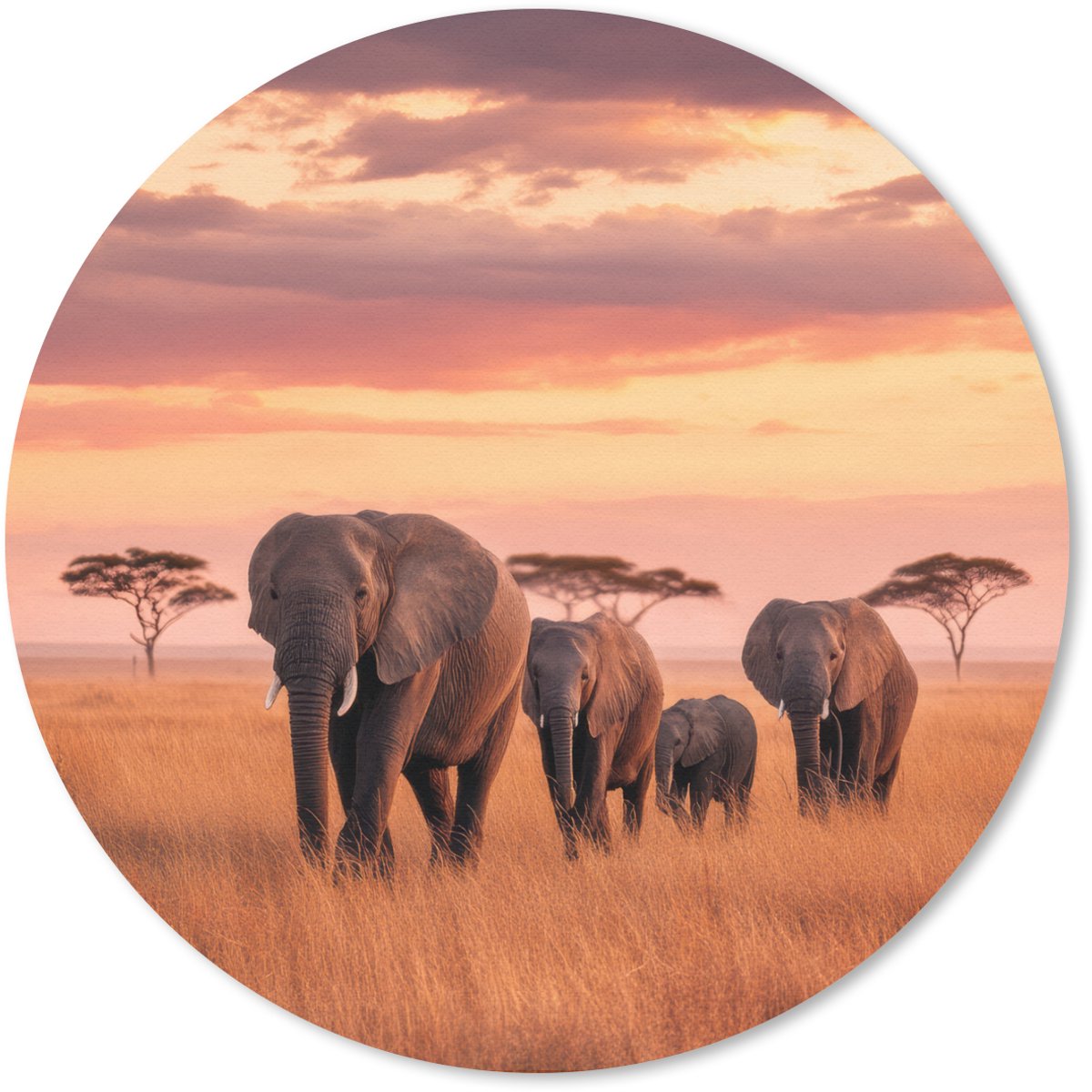 Muismat rond 20x20 cm - Mousepad Groep olifanten - Open vlakte - Zon - Ronde muismatten