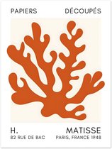 Matisse – Formes de fleurs de sel affiche orange 30x40 cm