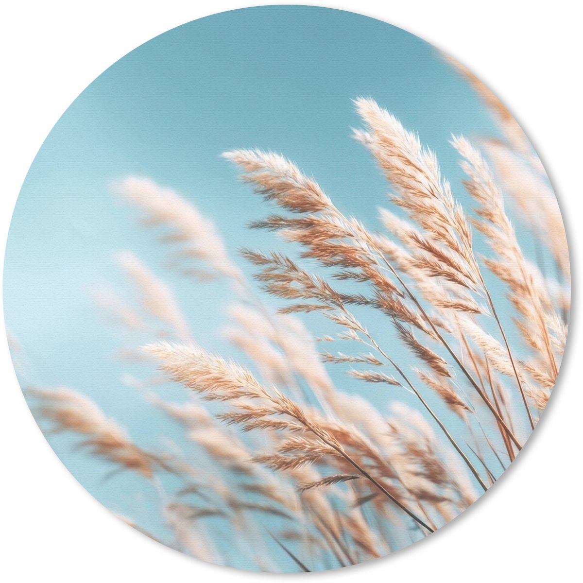 Muismat rond 20x20 cm - Mousepad Siergras - Wind - Lichtbruin - Ronde muismatten