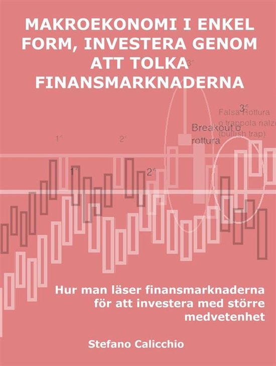 Makroekonomi i enkel form, investera genom att tolka de fina ... - cover