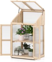 Needswants Mini Serre eois Exterieur - Serre de Jardin semis Résistante