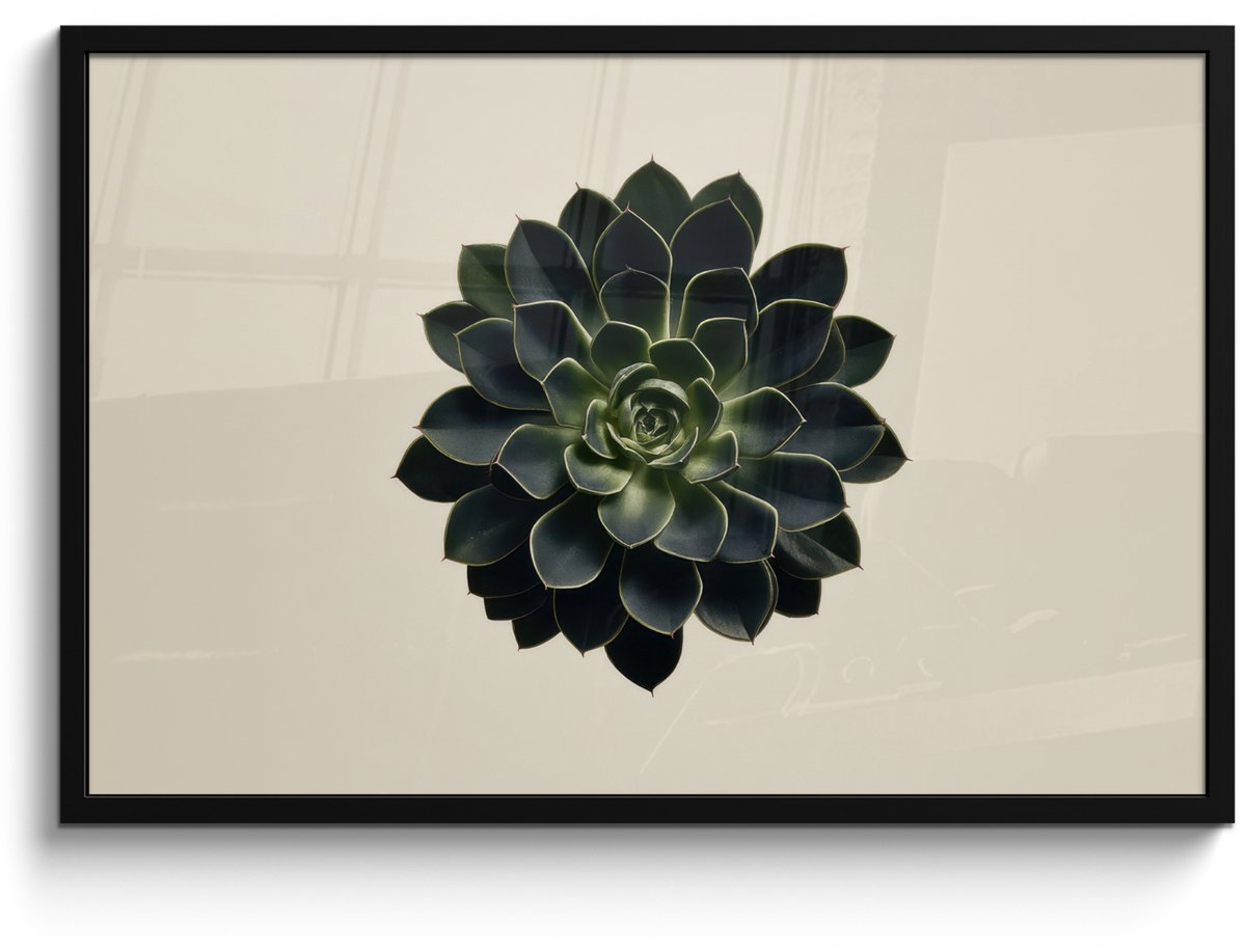 FrameYourWall Poster in lijst - Fotolijst 90x60 cm - Posters - Rozet - Cirkelvormig - Donkergroen - Posterlijst zwart - Decoratie - Wanddecoratie woonkamer - Muurdecoratie slaapkamer