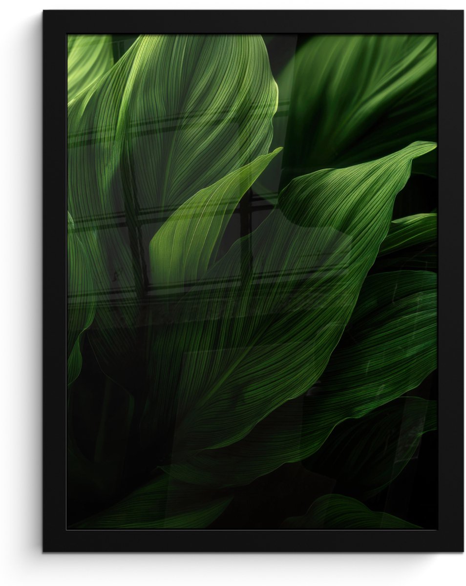 FrameYourWall Poster in lijst - Fotolijst 30x40 cm - Posters - Bladeren - Schaduw - Groen - Textuur - Posterlijst zwart - Decoratie - Wanddecoratie woonkamer - Muurdecoratie slaapkamer Bladeren - Textuur