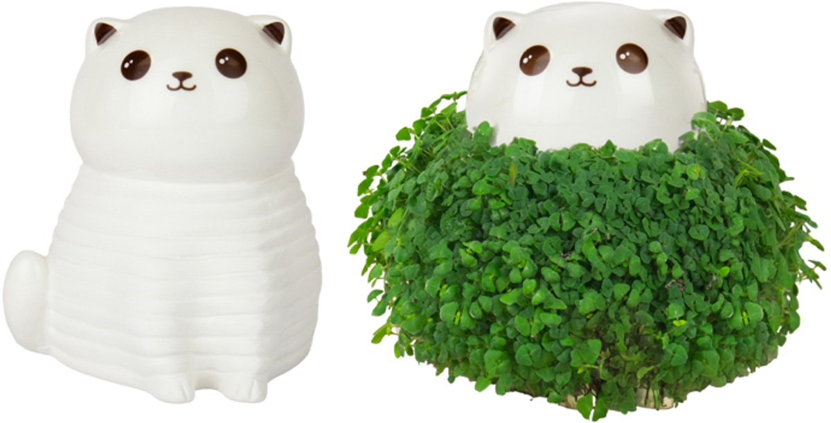 Gift Republic Plantenpot met chiazaden - Cat