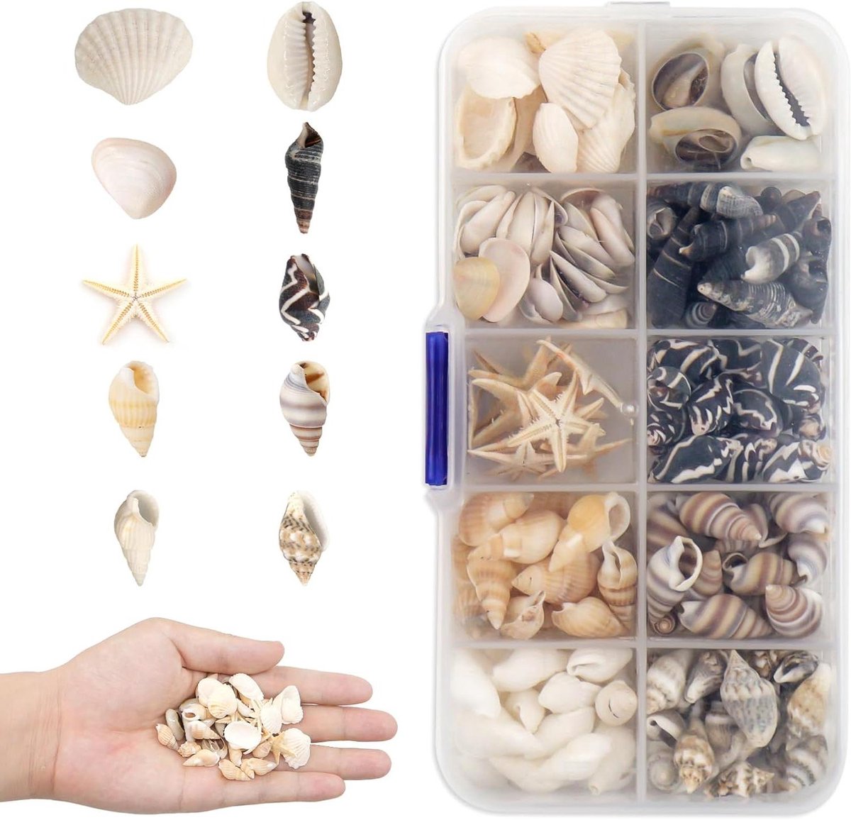 Provento - Mini schelpen decoratie set voor knutselen, gemengd ongeboord met zeesterren - 200-230 stuks