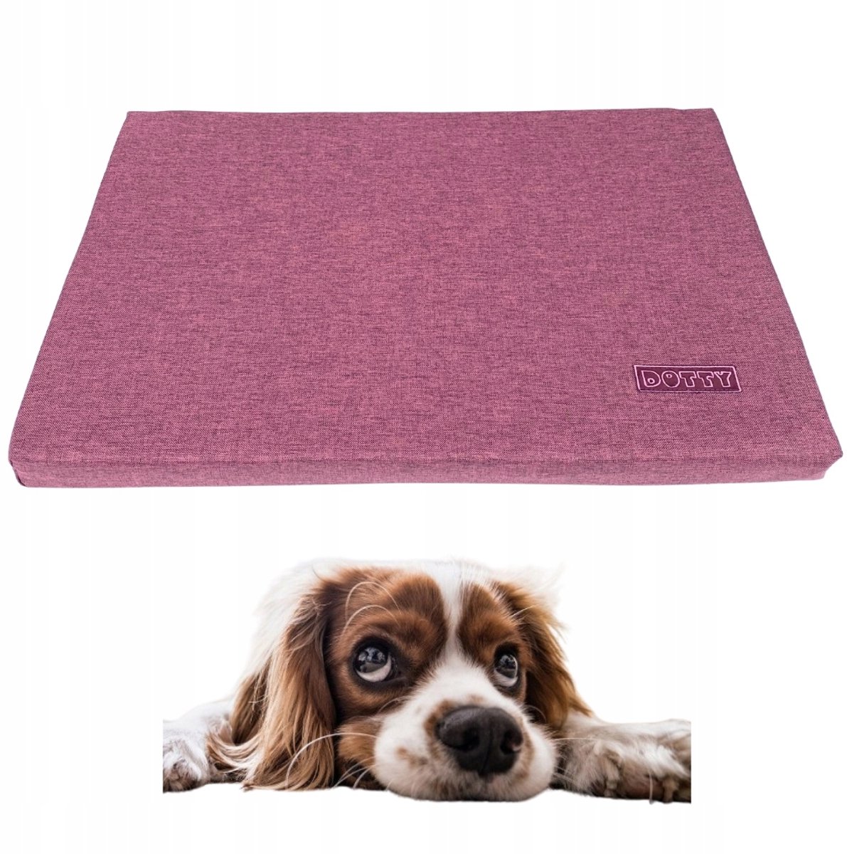 DOTTY Hondenkussen S (60x40cm) - Waterafstotend & Wasbaar Roze