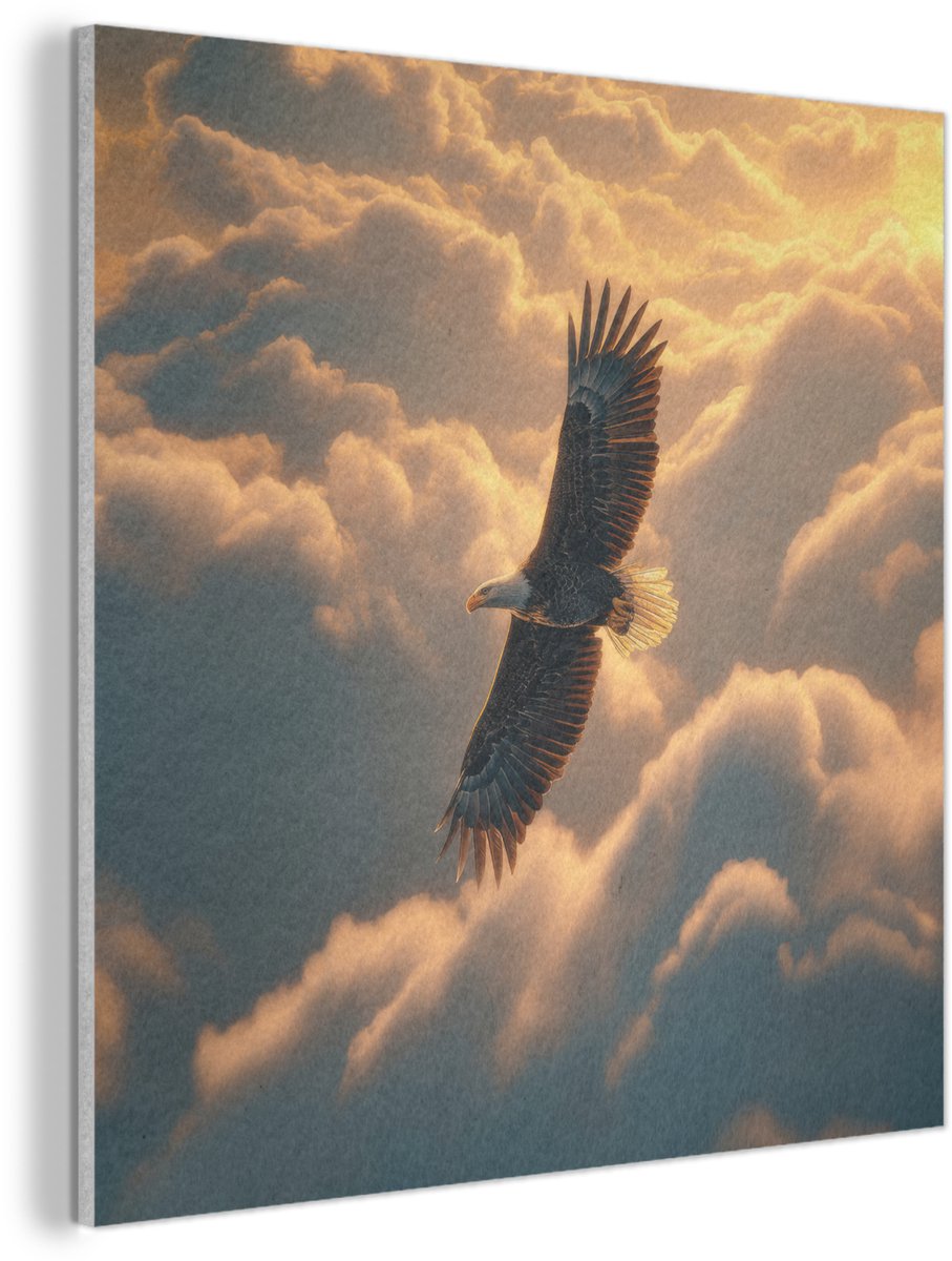 Adelaar - Wolken - Zon