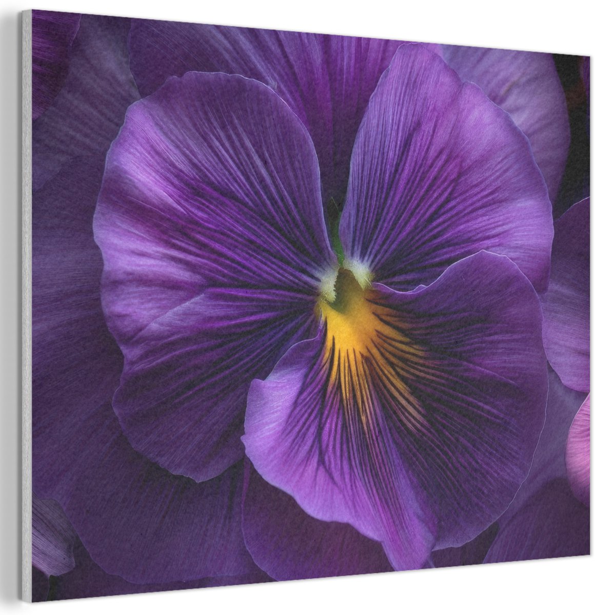 Akoestisch wandpaneel 70x50 cm - Vilt schilderij Paars - Viool - Diepte - Akoestische panelen - Geluidsdempende wanddecoratie - Geluidsisolatie woonkamer - Muurdecoratie geluidspanelen