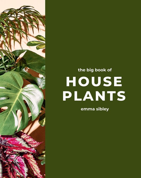 The Big Book of House Plants - cover