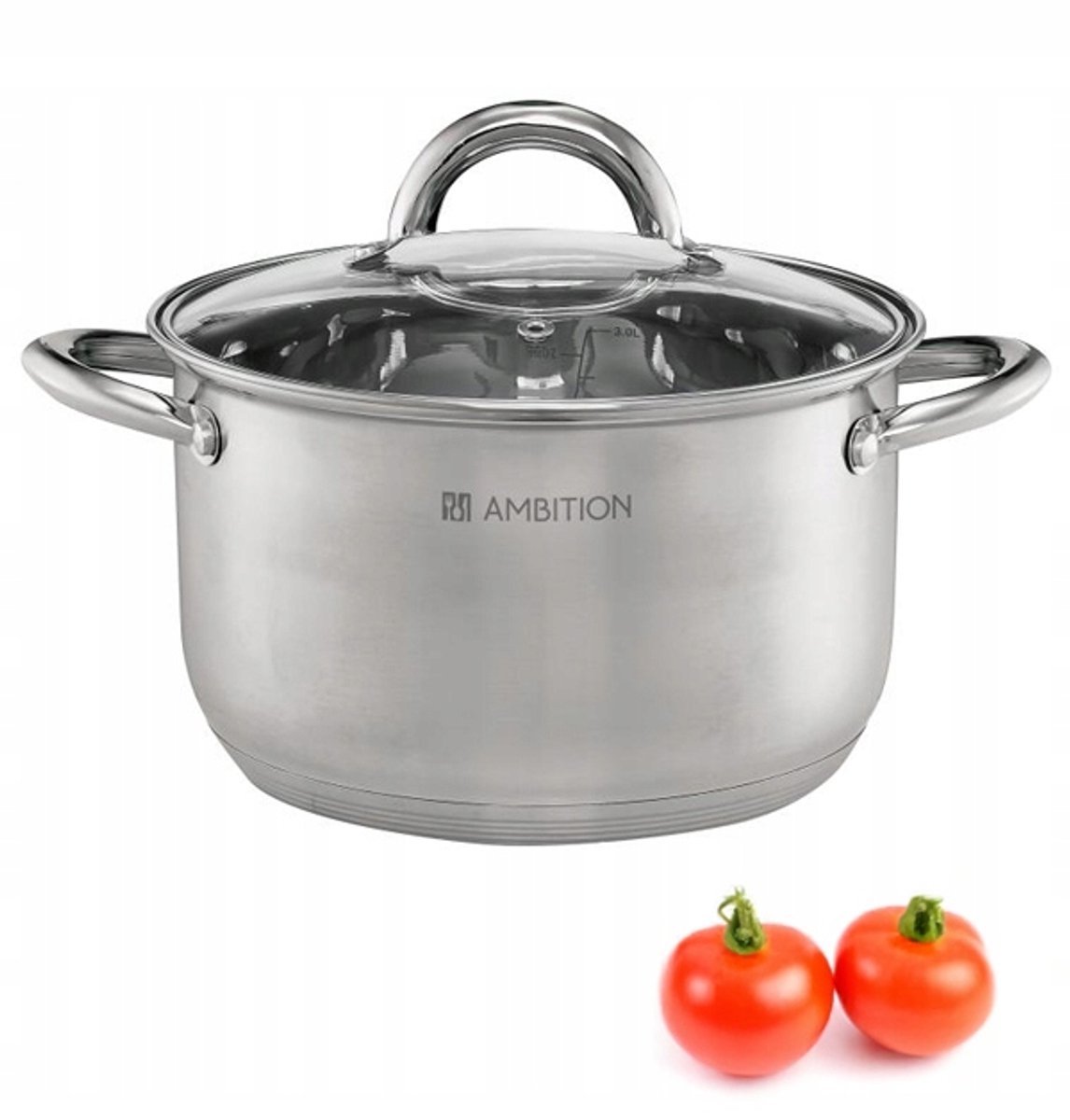 Ambition Solar Pan 4.8L RVS met Glazen Deksel - 22cm