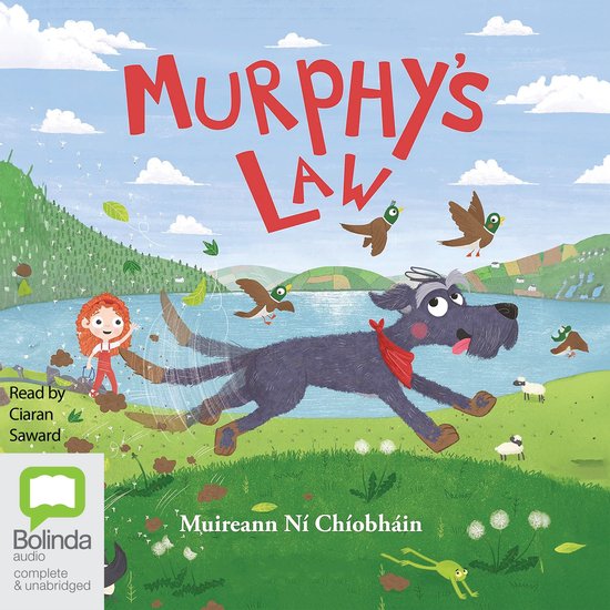 Murphy's Law - cover