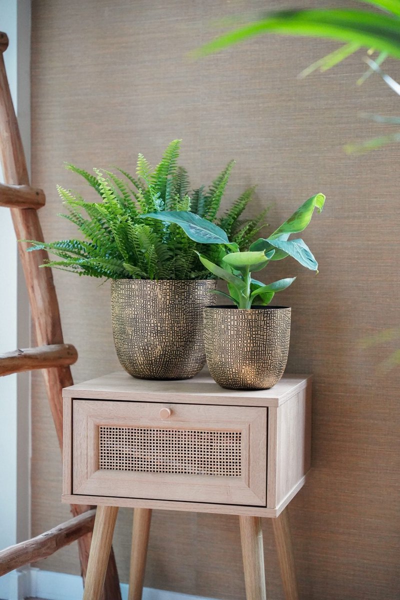 Capi Europe Pot de fleurs bol Skin Made With - 22x20 - Or