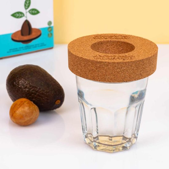 Gift Republic Kurken Ontkiemset Voor Avocado's van Gift Republic — afbeelding 2