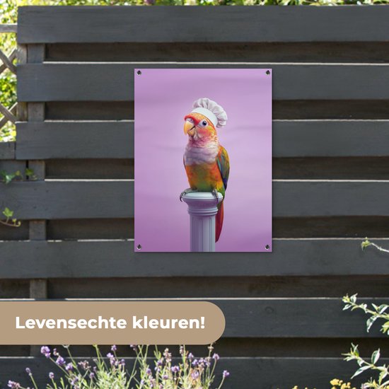 Tuinposter 60x80 cm - Tuindecoratie Papegaai - Koksmuts - Pilaar - Vogel - Poster voor in de tuin - Buiten decoratie - Schutting tuinschilderij - Tuindoek muurdecoratie - Wanddecoratie balkondoek