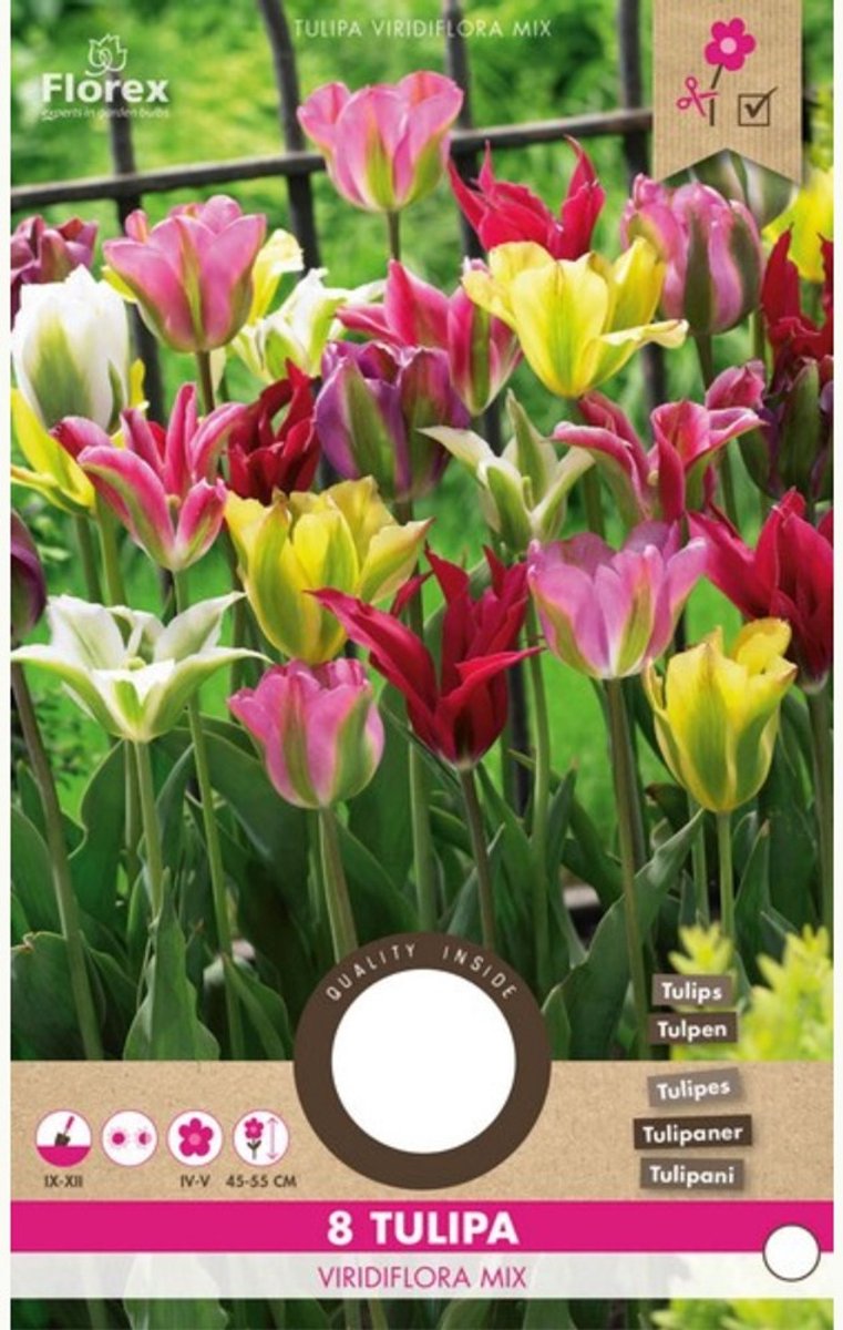 Groenbloemige tulp (Tulipa Viridiflora) - Tulp Viridiflora Gemengd - Tulipa - Snijbloemen - Voorjaarsbollen - bloeit in April / Mei