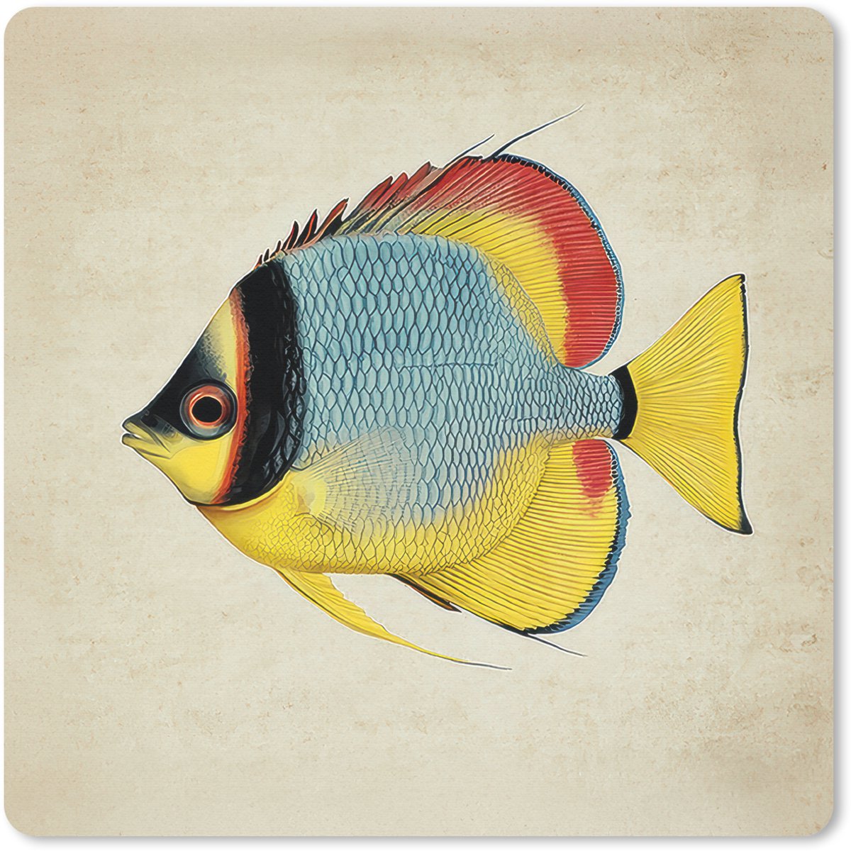 Muismat 20x20 cm - Mousepad Kleurrijk - Vis - Schubben - Illustratie - Muismatten