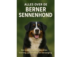 Alles over de Berner Sennenhond