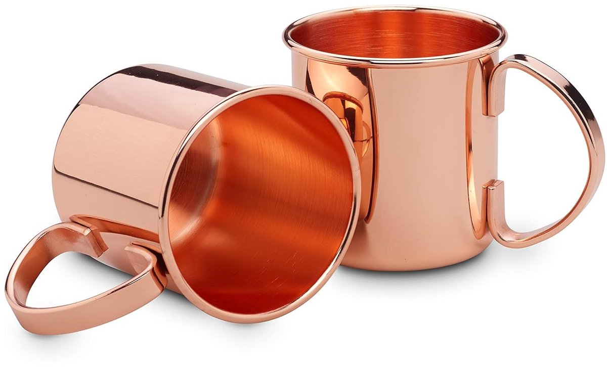 Moscow Mule koperen mok set - stijlvol - 2 stuks - roestvrij staal - 450 ml
