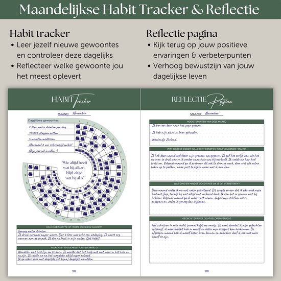 Pagina uit een dagboek met een habit tracker en reflectie voor de maand november, met grafieken en ingevulde secties.