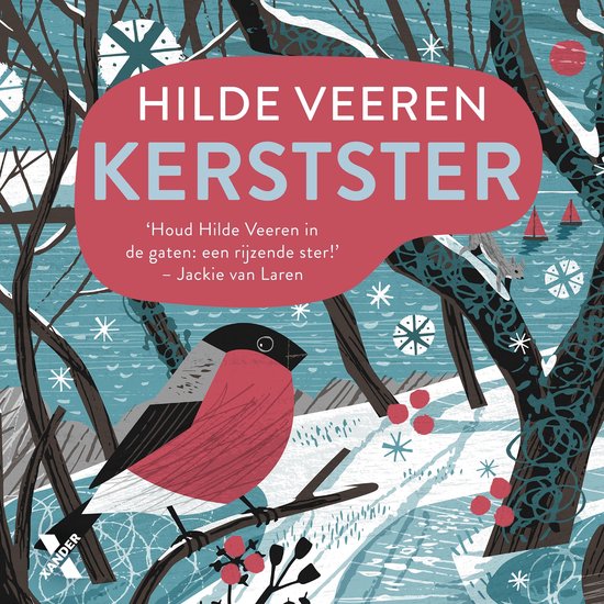 Kerstster - cover