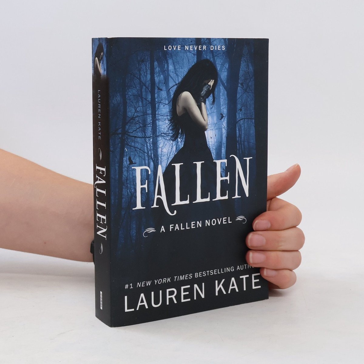 Fallen van Lauren Kate