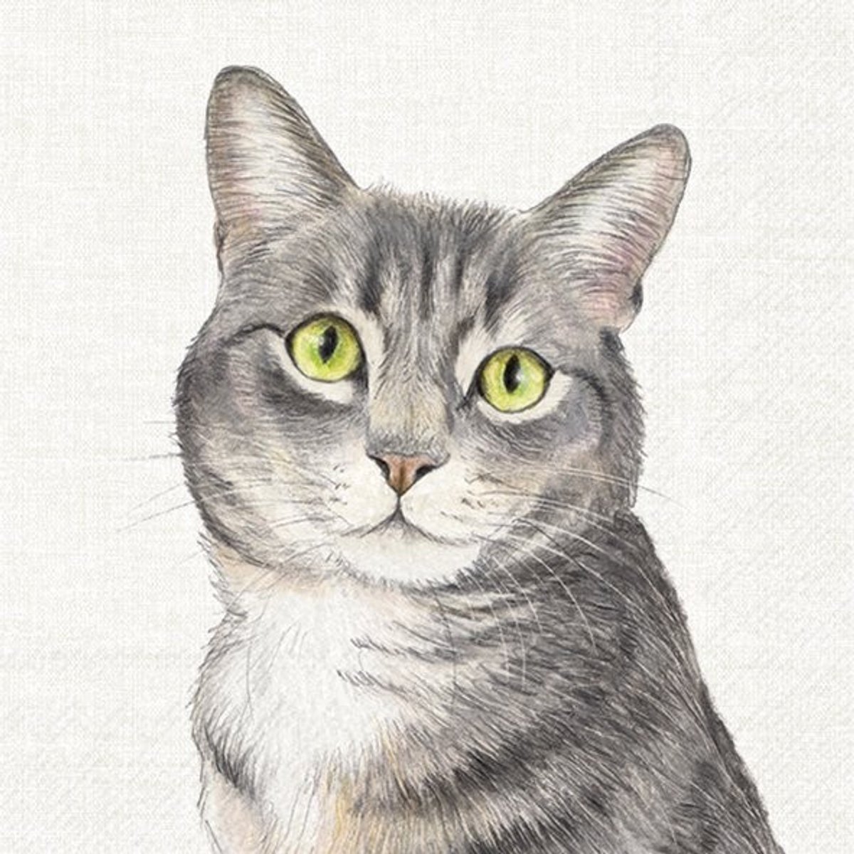 IHR - Lunch servetten - Farm cat cream