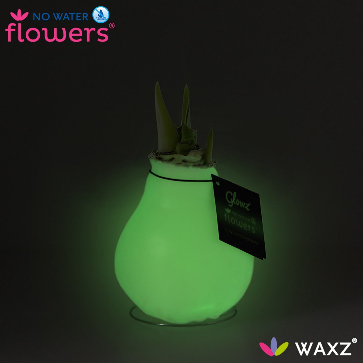 No Water Flowers® Waxz® Glowz