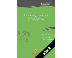 Palestra Extramuros 19 - Derecho, derechos y pandemia