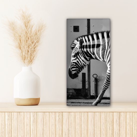 Peinture sur toile - Animaux sauvages - Zebra - Mur - Porte - Décoration murale - Toile - 20x40 cm - Tableau sur toile - Décoration de la maison