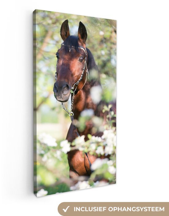Toile Peinture Paarden - Blossom - Printemps - Animaux - 20x40 cm - Décoration murale
